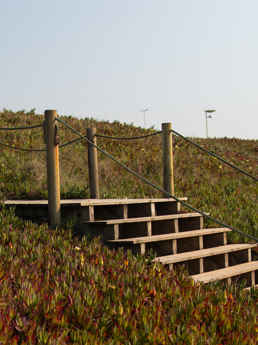 Wooden passadiços along one of the best coastal walks near Porto, surrounded by lush greenery