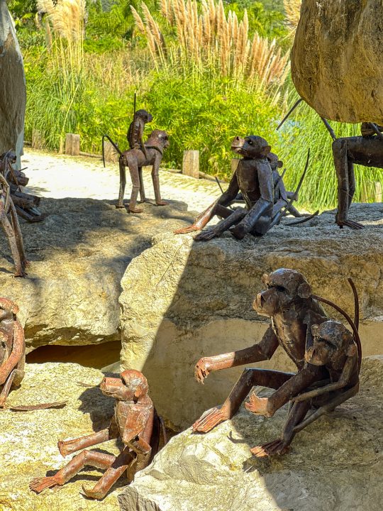 African Sculpture Garden, The collection showcases works by artists from Zimbabwe