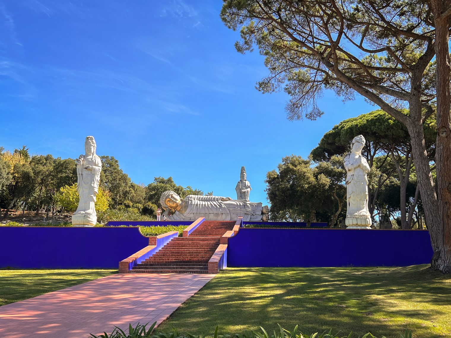 Buddha statues and stairway at Buddha Eden garden