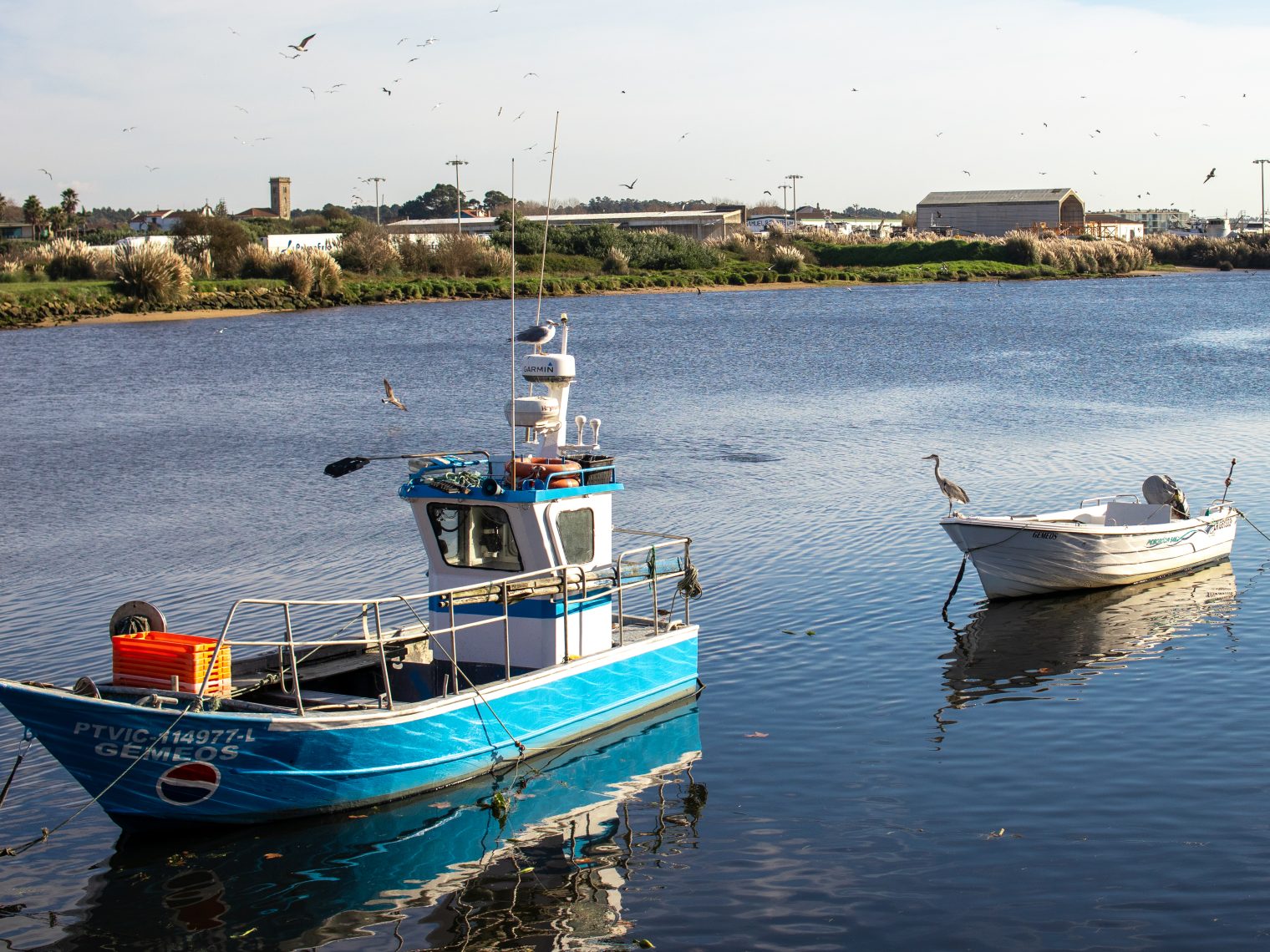 Fishing boats moored on Ave River