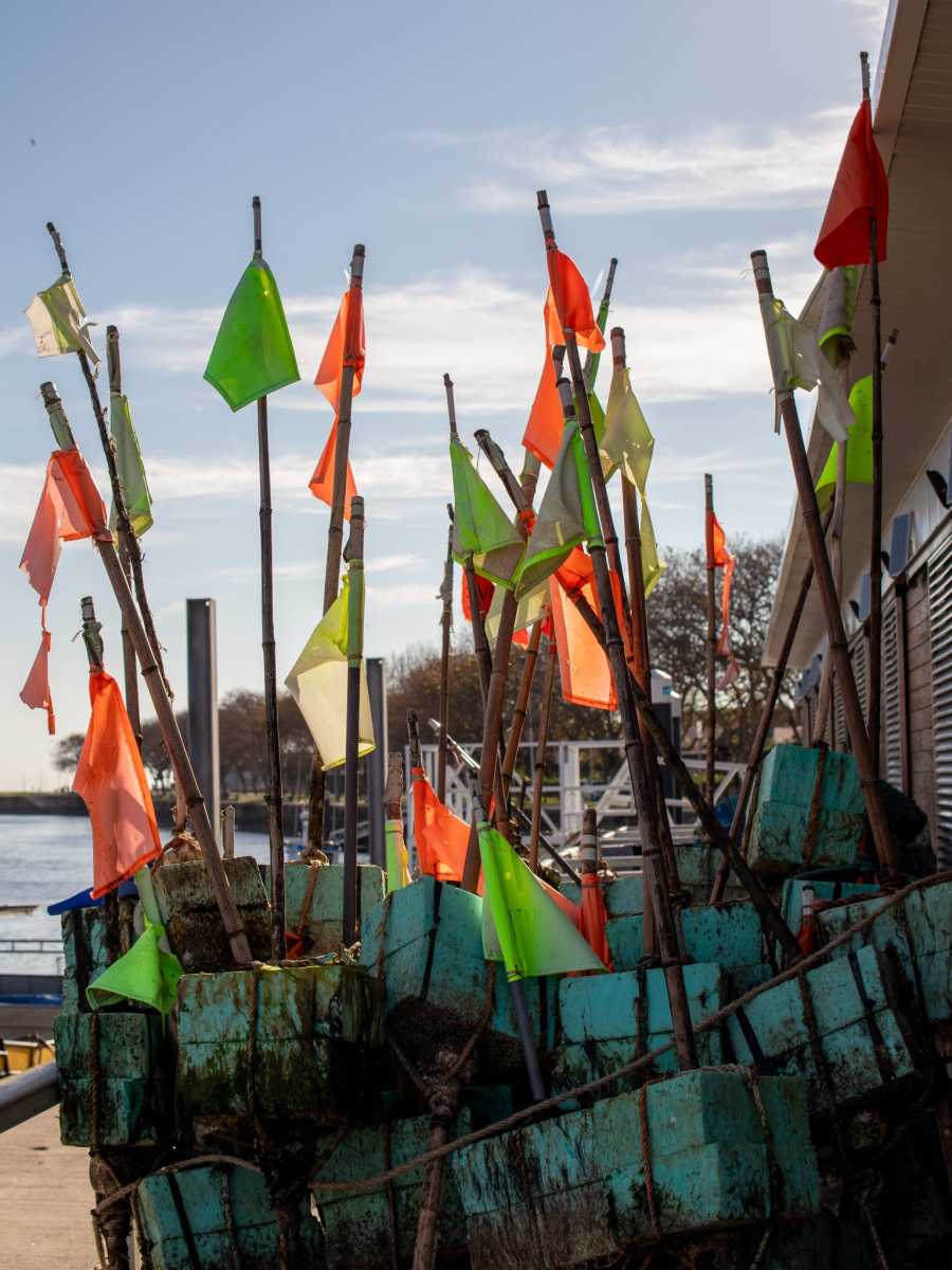 Colorful fishing markers with orange and green flags on wooden poles at Vila do Conde marina