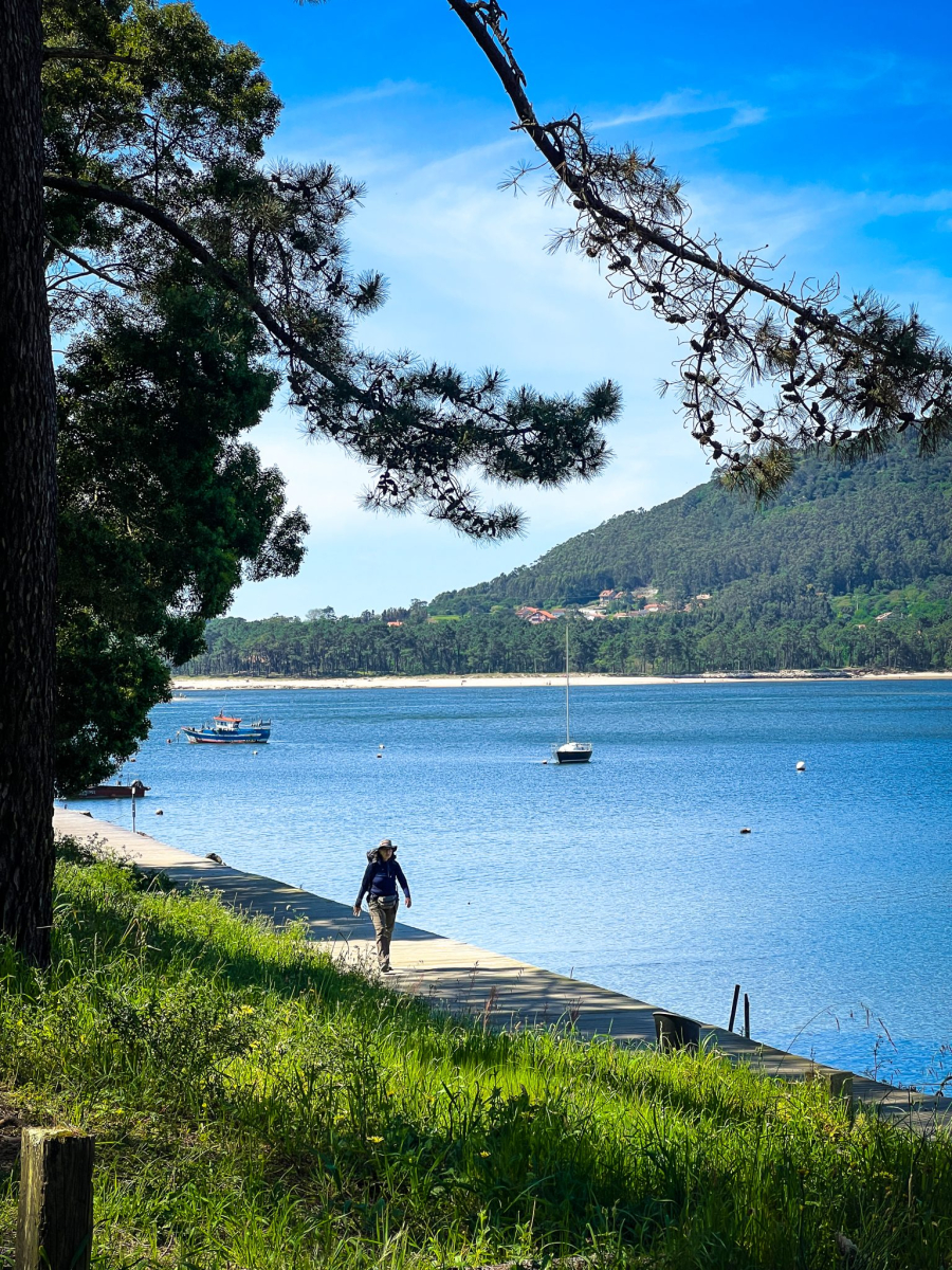 Minho River in Moledo, Portugal, along the Camino de Santiago route