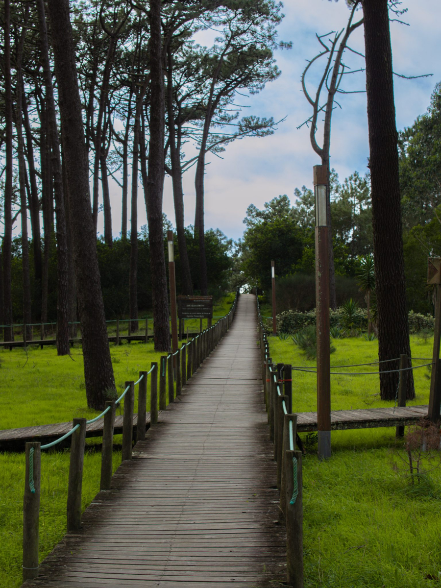 Praia Foz do Minho. A scenic walking path along the coastline of Moledo.