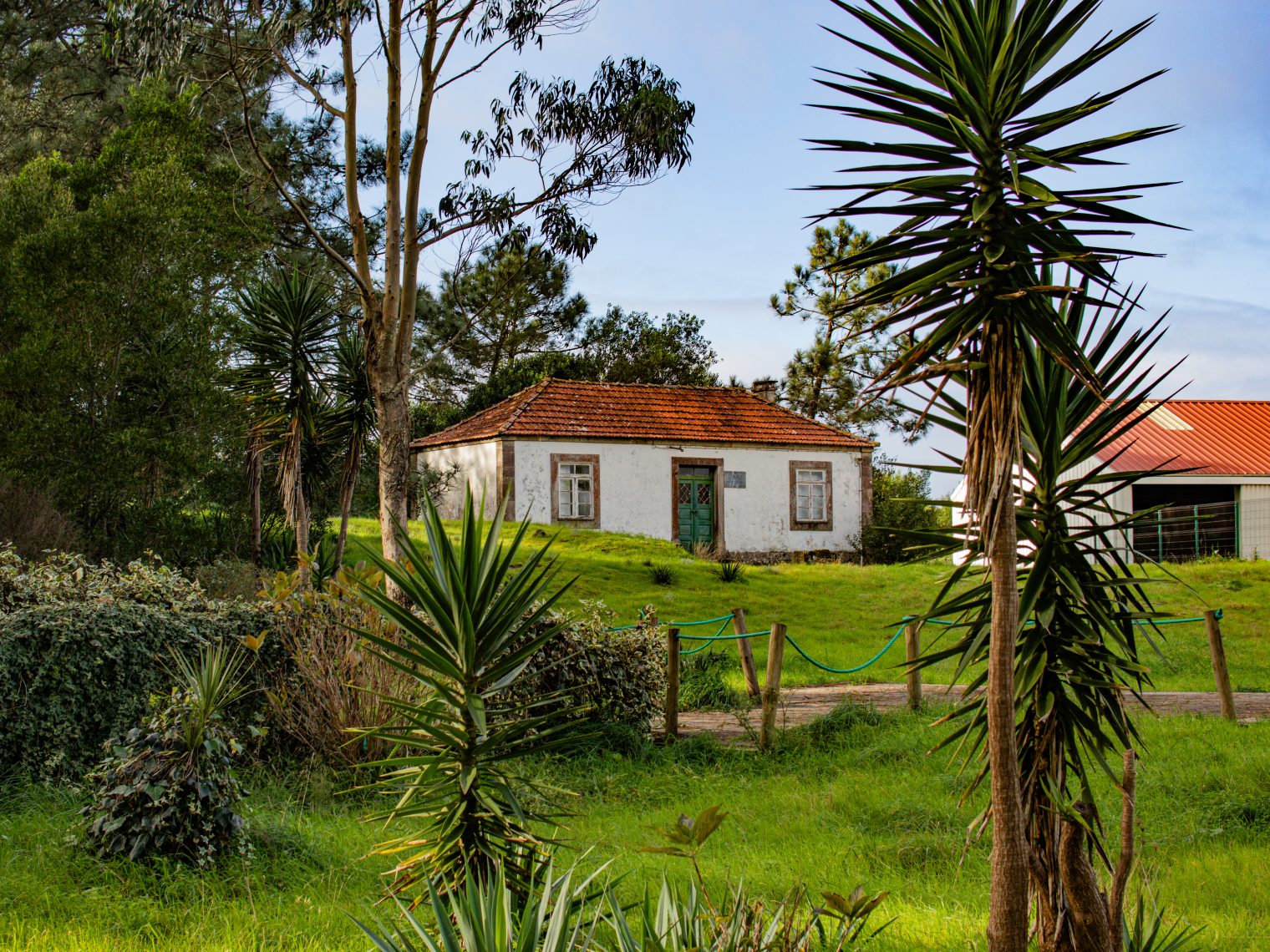 Traditional stone house hidden among lush greenery in Moledo, coastal Portugal